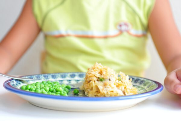 RA VTA: Odobren projekt osiguranja prehrane za osnovnoškolce