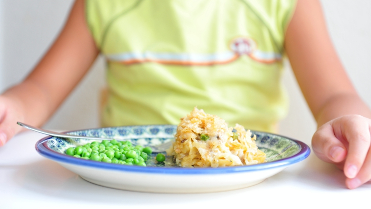 RA VTA: Odobren projekt osiguranja prehrane za osnovnoškolce