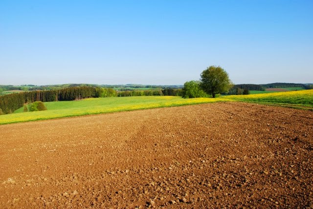 Otvoren natječaj 6.1.1. „Potpora mladim poljoprivrednicima“