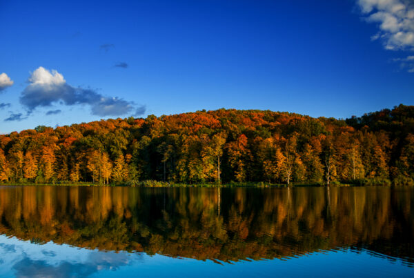 U planu je unaprjeđenje turističkih sadržaja oko sliva Ođenice i Virovitičkih ribnjaka