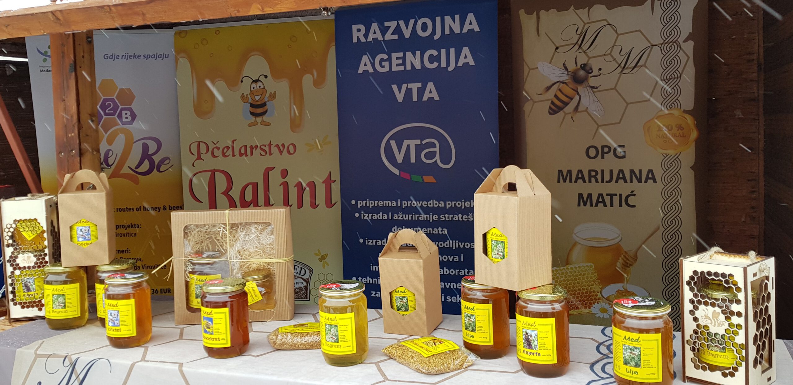 Održana aktivnost projekta Bee2Be u Pečuhu