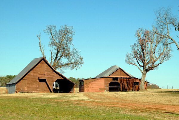 3 Newsletter projekta STORIE