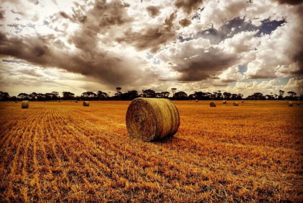 Razvojna agencija VTA prijavila 10 projekata ukupne vrijednosti 875.972,54 eura za mlade poljoprivrednike