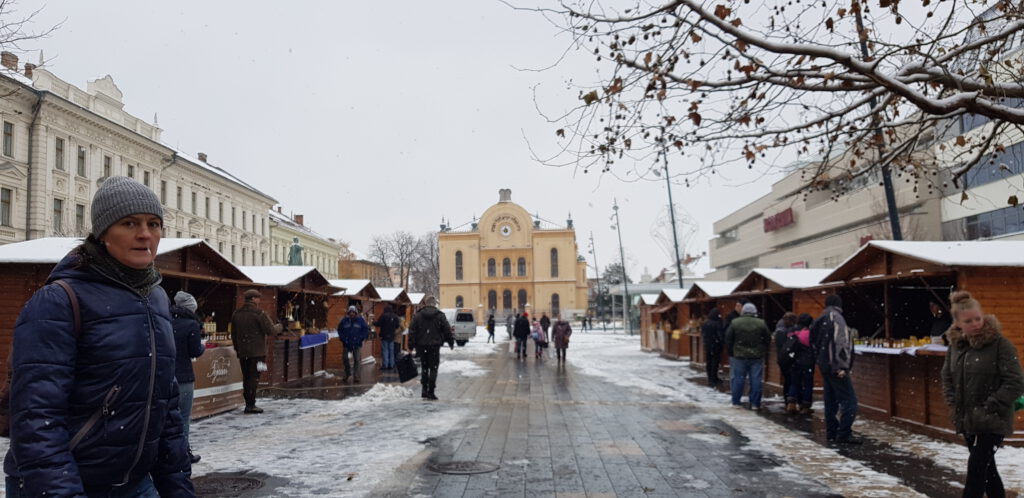 Održana aktivnost projekta Bee2Be u Pečuhu